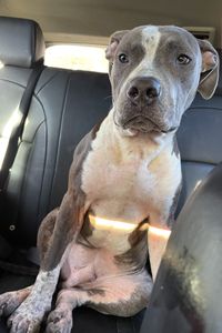 Slate Jayden Bennett 