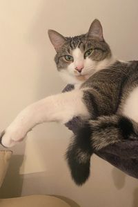 Arthur Cabrera Young 