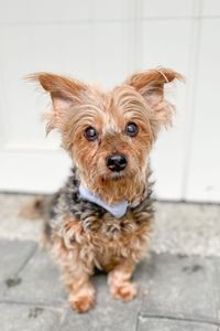 Oliver Beckham Cooper 