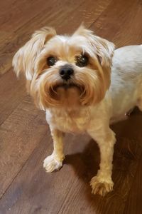 Sacha Blakeney-Wright 