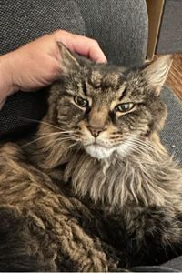 Theodore Roosevelt Hamilton Nutt 