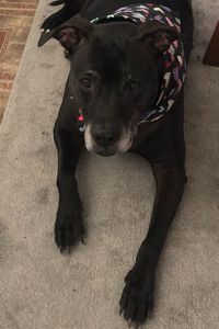 Kahlan Thompson-Coleman 