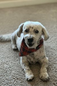 Tyson Alexander Roberts 