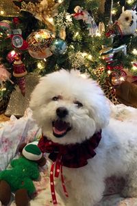 Sadie Mae Rose Skiba 