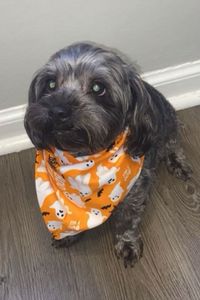 Onyx Eric Boynton-Johnson 