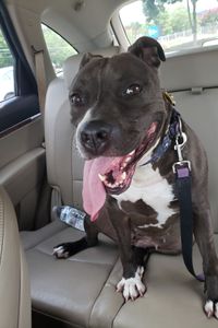 Savannah Grace Dupree-Miller 