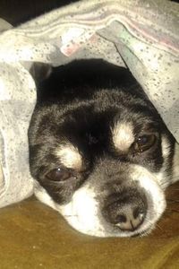 Joseph JoJo Brantley 