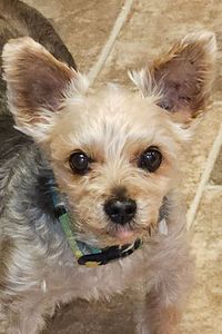 Diego Jaguar 'Butt-Butt' Gatling 