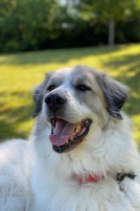 Duke “Moose” Poe 