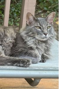 Sis Parfitt-VanCleve 