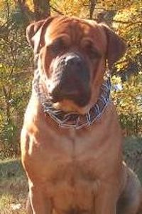 Paison “Kletis” Brown 