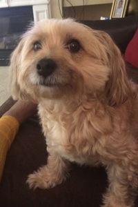 Tyson “Old Man” Richardson 