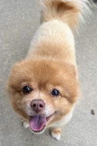 Red Wilkerson Sutton 