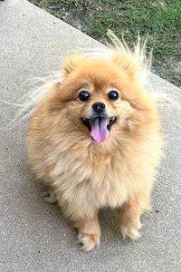 Madison Wilkerson Sutton 