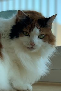 Lulu “Boone” Alvarez 