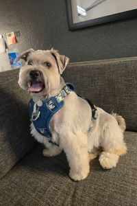 Prince Alexander Milton  