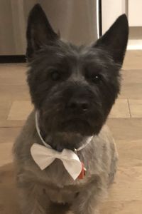 Murphy Alexander Wallin  