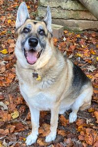 Gunner Maverick Austin  