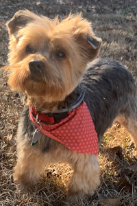 Brady “Brady Girl” Shivers  