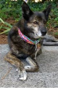 Mackenzie AKA Kenzie 