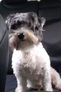 Bear “Big Man” Porter 