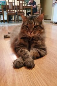 Florida Even Gregory 