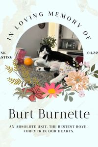 Burt Burnette 