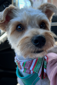 Giuseppe Josiah Jordan “JJ” 