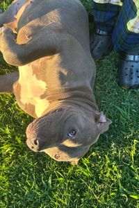 Blessing Louise Amey 