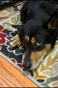 Abigail (Abby) Henley 