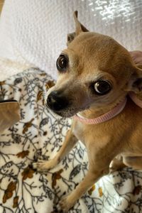 Tova Stein-Rodriguez 