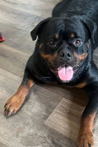 Deacon Nathaniel Anderson Worrell 