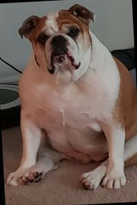 Buster (Busey) Davis 