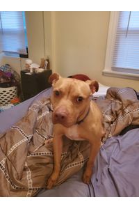 Jacob “Jake” Ezekiel Miller Thomas 