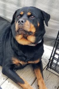 Sunshine Garmon-Waters 