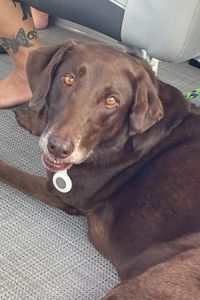 Maggie Mae Flippo  