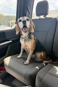Bella Bailey  