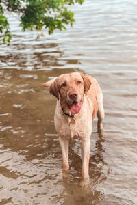 River Baxter 