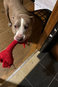 Rocxy Hampton 