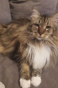 Skitters Thurman  