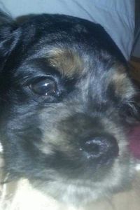 Charlie Feo  