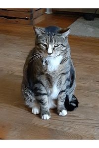 Mylow Cordero  