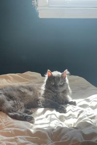 Hvac Baxter  