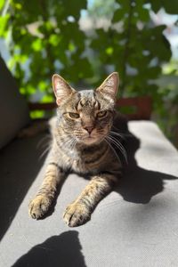 Mortimer March  