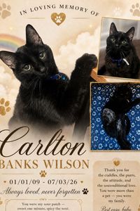 Carlton Wilson  