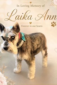 Laika Ann Spagola  