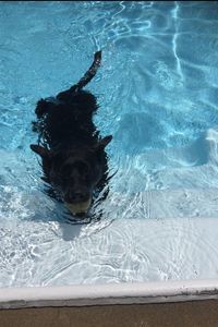 Roxy Raider  