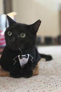 Raisin Zolkiwsky  