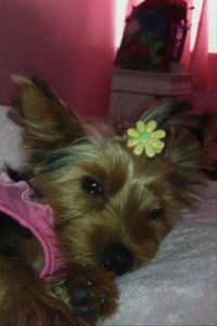 Diva Marie Jewel Avitalle  