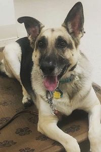 Zeus Appleby  